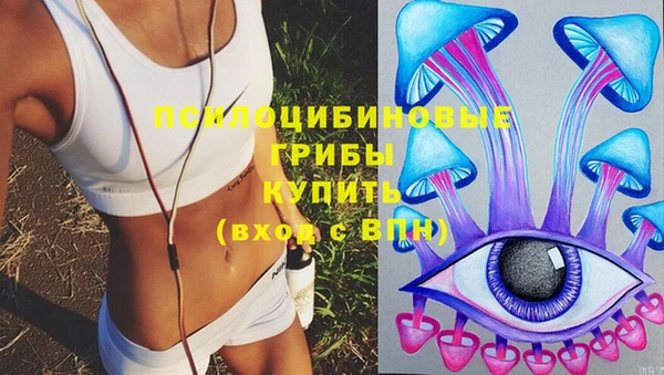 PSILOCYBIN Алзамай