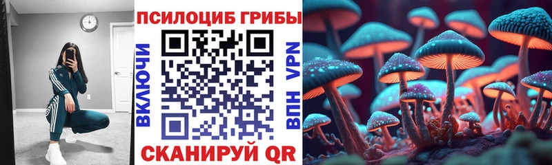 Галлюциногенные грибы Psilocybe  Купить где  Новая Ляля 